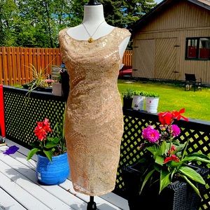 Sparkly Beige Le Chateau Dress